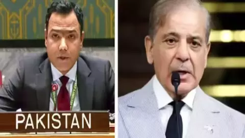 UNSC Pakistan Kashmir Statement