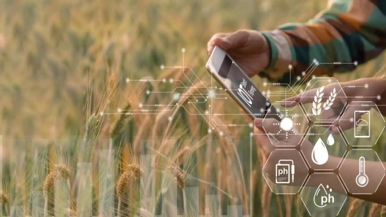 Farmer Digital Struggle