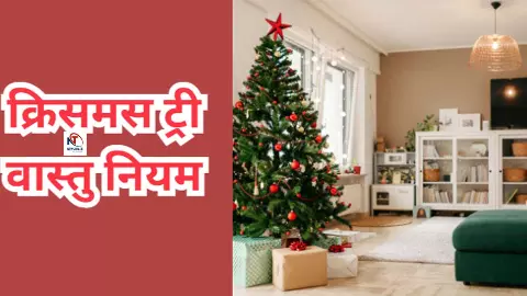 Christmas Tree Vastu: क्रिसमस से पहले जान लें क्रिसमस ट्री के वास्तु नियम, वरना हो सकता है नुकसान