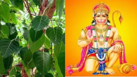 Lord Hanuman Upay for Money