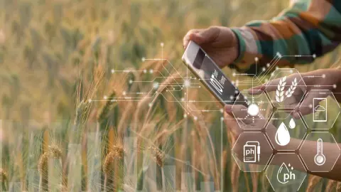 Farmer Digital Struggle Farmer Digital Struggle