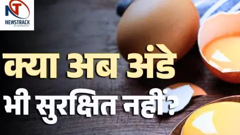 Eating Eggs Increase Cancer Risk Eating Eggs Increase Cancer Risk