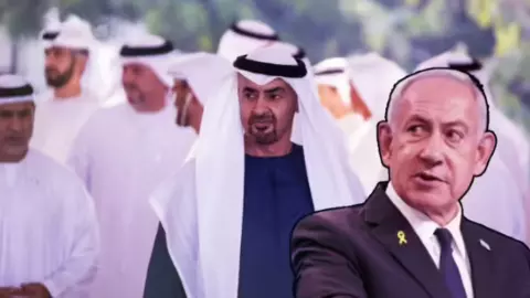 Israel UAE Electronic Defence System