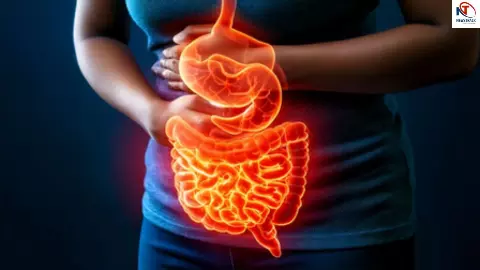 Ayurvedic Remedies For Acidity Ayurvedic Remedies For Acidity