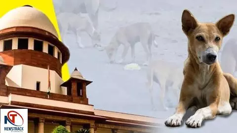 Supreme Court VIP culture