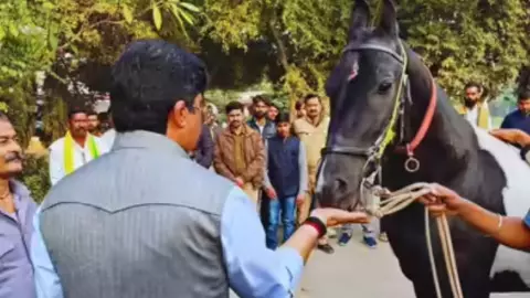 Raja Bhaiya News