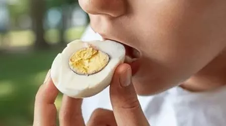 Egg benefits in winter Egg benefits in winter