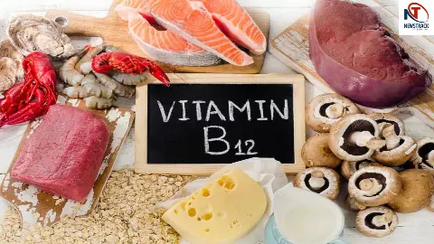 Vitamin B12 Vegetarian Sources Vitamin B12 Vegetarian Sources