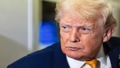 Donald Trump Impeachment