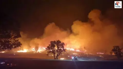 ऑस्ट्रेलिया में महा-अलर्ट! सुलग रहा विक्टोरिया... जंगल में लगी भयंकर आग से आपदा की स्थिति घोषित ऑस्ट्रेलिया में महा-अलर्ट! सुलग रहा विक्टोरिया... जंगल में लगी भयंकर आग से आपदा की स्थिति घोषित
