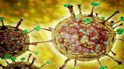 Nipah Virus in West Bengal