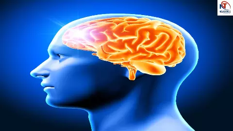 Brain Health Tips After 30