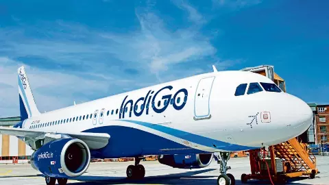 Indigo Airlines Sale Into 2026