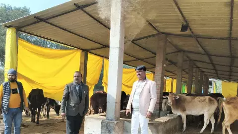 Pratapgarh News: डीसी मनरेगा ने अगई गौशाला का किया निरीक्षण, ठंड से बचाव व स्वच्छता के दिये निर्देश