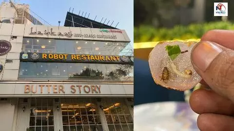 Cockroach Found in Noodles at Lucknow Robot Restaurant