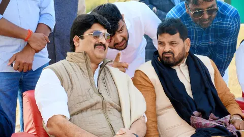 राजा भैया को लेकर ये क्या बोल गये बृजभूषण सिंह? सोशल मीडिया पर हो गये वायरल, मचा तहलका राजा भैया को लेकर ये क्या बोल गये बृजभूषण सिंह? सोशल मीडिया पर हो गये वायरल, मचा तहलका