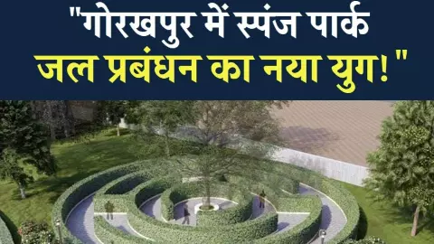 पर्यावरण संरक्षण का नया हथियार स्पंज पार्क, गोरखपुर में शुरू होगा निर्माण पर्यावरण संरक्षण का नया हथियार स्पंज पार्क, गोरखपुर में शुरू होगा निर्माण
