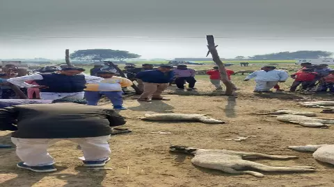Banda News