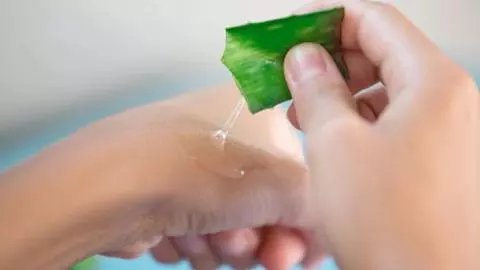 Aloe vera face pack Aloe vera face pack