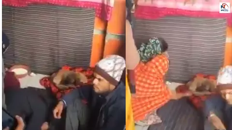 वाह रे अंधभक्ति! बिजनौर वाला कुत्ता बना भगवान, महिलाएं छूने लगीं पैर, देखें वायरल वीडियो