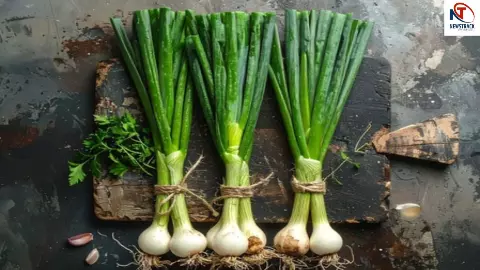 Green Onion Benefits