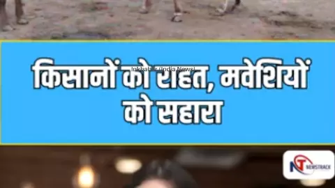 गाय-बैल पालिए, हर महीने 12,000 कमाइए, उत्तराखंड सरकार की नई योजना