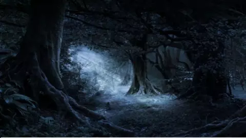 Khandharwa Jungle Mystery