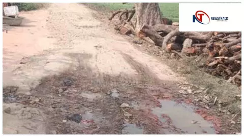 Kaushambi News : कौशांबी में ग्रामीणों की मनमानी से NH-731A पर मंडरा रहा मौत का खतरा Kaushambi News : कौशांबी में ग्रामीणों की मनमानी से NH-731A पर मंडरा रहा मौत का खतरा