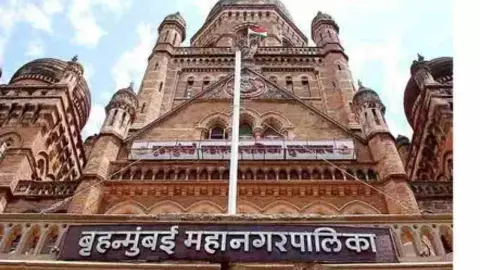 मुंबई की महारानी कौन? BMC मेयर पद पर महिला की ताजपोशी तय, सियासी समीकरणों में आया बड़ा भूचाल मुंबई की महारानी कौन? BMC मेयर पद पर महिला की ताजपोशी तय, सियासी समीकरणों में आया बड़ा भूचाल