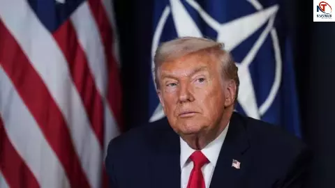 Trump NATO Statement