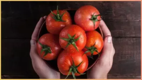 एंटीएजिंग से लेकर इम्युनिटी बूस्ट तक! सेहत का खजाना है कच्चा टमाटर, जानिए इसके जबरदस्त फायदे एंटीएजिंग से लेकर इम्युनिटी बूस्ट तक! सेहत का खजाना है कच्चा टमाटर, जानिए इसके जबरदस्त फायदे