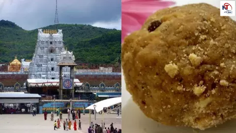 तिरुपति लड्डू में Beef Fat का सच आया सामने! CBI की फाइनल चार्जशीट ने खोल दी सबकी पोल, भक्त रह गए दंग तिरुपति लड्डू में Beef Fat का सच आया सामने! CBI की फाइनल चार्जशीट ने खोल दी सबकी पोल, भक्त रह गए दंग