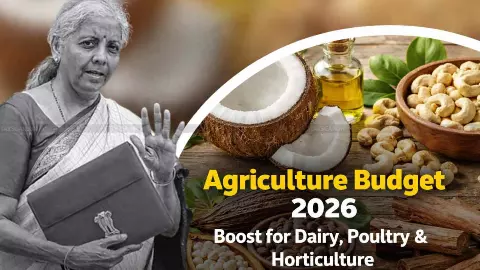 Agriculture Union Budget 2026-27: खेती से आमदनी बढ़ाने पर जोर, डेयरी-मुर्गी पालन और बागवानी पर फोकस Agriculture Union Budget 2026-27: खेती से आमदनी बढ़ाने पर जोर, डेयरी-मुर्गी पालन और बागवानी पर फोकस