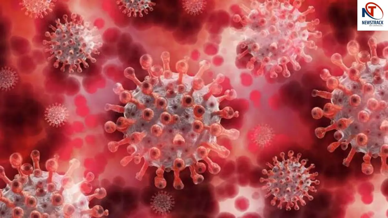 WHO Nipah Virus Warning WHO Nipah Virus Warning