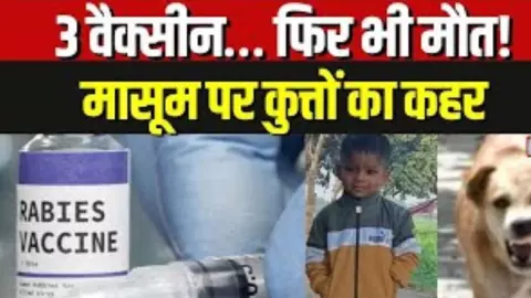 रैबीज का खतरनाक सच: वैक्सीन के बावजूद कैसे चली गई मासूम की जान रैबीज का खतरनाक सच: वैक्सीन के बावजूद कैसे चली गई मासूम की जान