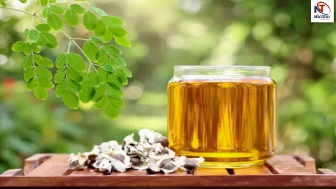 Moringa Oil Benefits Moringa Oil Benefits