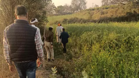 Kanpur News: तेंदुए के हमले की खबर निकली अफवाह, वन विभाग की जांच में सच आया सामने