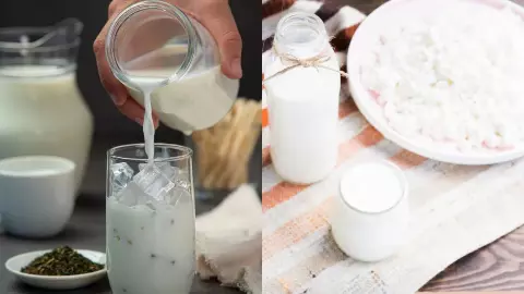 केफिर vs दही: क्यों तेजी से पॉपुलर हो रहा है ये प्रोबायोटिक ड्रिंक? केफिर vs दही: क्यों तेजी से पॉपुलर हो रहा है ये प्रोबायोटिक ड्रिंक?