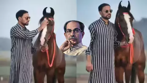 उद्धव ठाकरे ने इस मुस्लिम शेर नेता को बनाया मेयर! चढ़ा सियासी पारा, दंग रह गई बीजेपी! उद्धव ठाकरे ने इस मुस्लिम शेर नेता को बनाया मेयर! चढ़ा सियासी पारा, दंग रह गई बीजेपी!