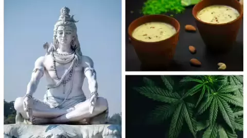 शिव और भांग का क्या है संबंध? पौराणिक कथा से आयुर्वेद तक पूरी जानकारी