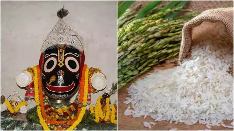 एकादशी पर चावल पाप, लेकिन पुरी में महाप्रसाद... क्या है ‘उल्टी एकादशी’ का रहस्य?