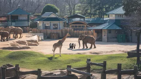 World’s Largest Zoo