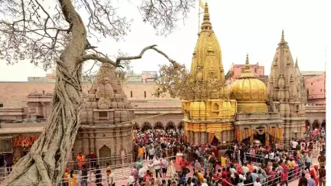 हर-हर महादेव के जयकारे से गूंजी काशी! महाशिवरात्रि पर उमड़ा आस्था का सैलाब, बाबा विश्वनाथ के दरबार में टूटा रिकॉर्ड