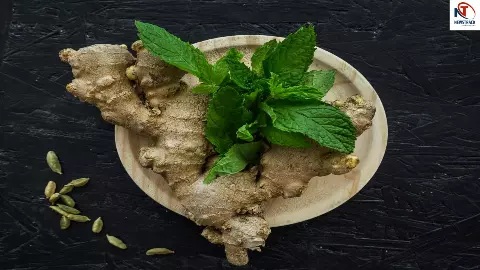 Tulsi Ginger Drink