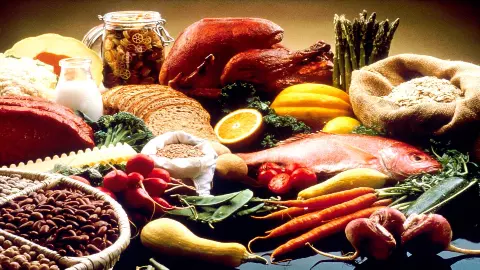 Human Natural Diet