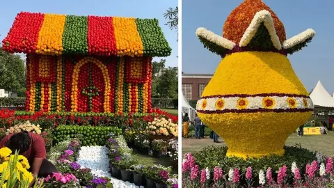 Noida Flower Show 2026