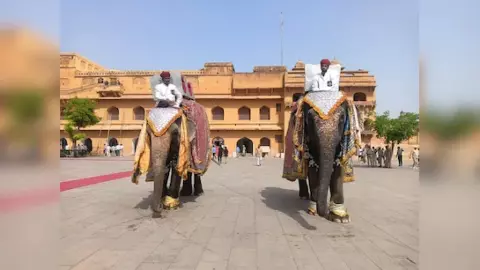 आमेर किले के पास छुपा है हाथियों का जादुई गांव, जानें कैसे पहुंचे आमेर किले के पास छुपा है हाथियों का जादुई गांव, जानें कैसे पहुंचे