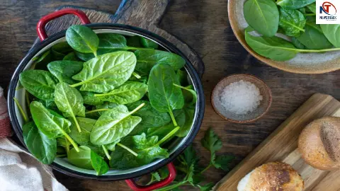 Spinach Side Effects