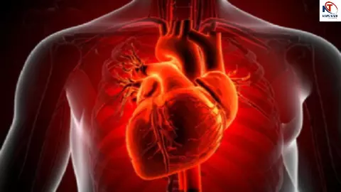 Ayurvedic Remedies For Cholesterol