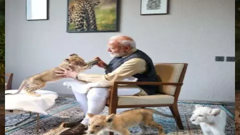 वनतारा का एक वर्ष: वन्यजीव उपचार-पुनर्वास की नई मिसाल वनतारा का एक वर्ष: वन्यजीव उपचार-पुनर्वास की नई मिसाल